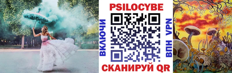 Псилоцибиновые грибы Psilocybine cubensis  Купить  Луга 